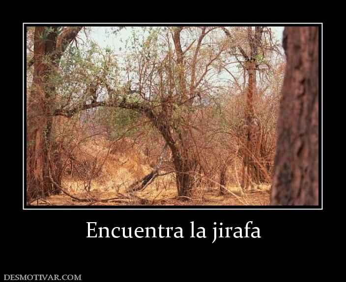 Encuentra la jirafa