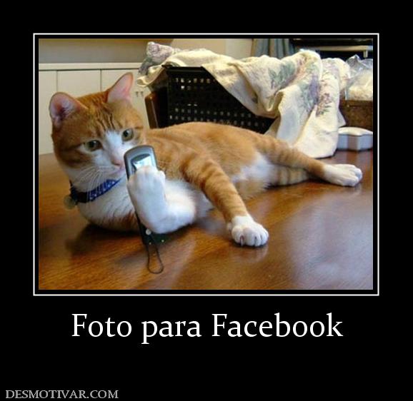 Foto para Facebook