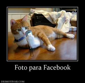 Foto para Facebook