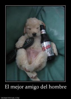 El mejor amigo del hombre