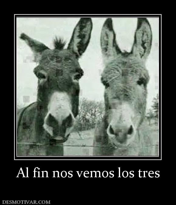 Al fin nos vemos los tres