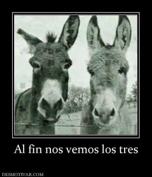 Al fin nos vemos los tres