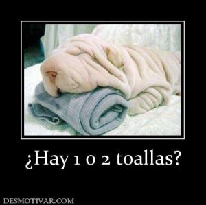¿Hay 1 o 2 toallas?