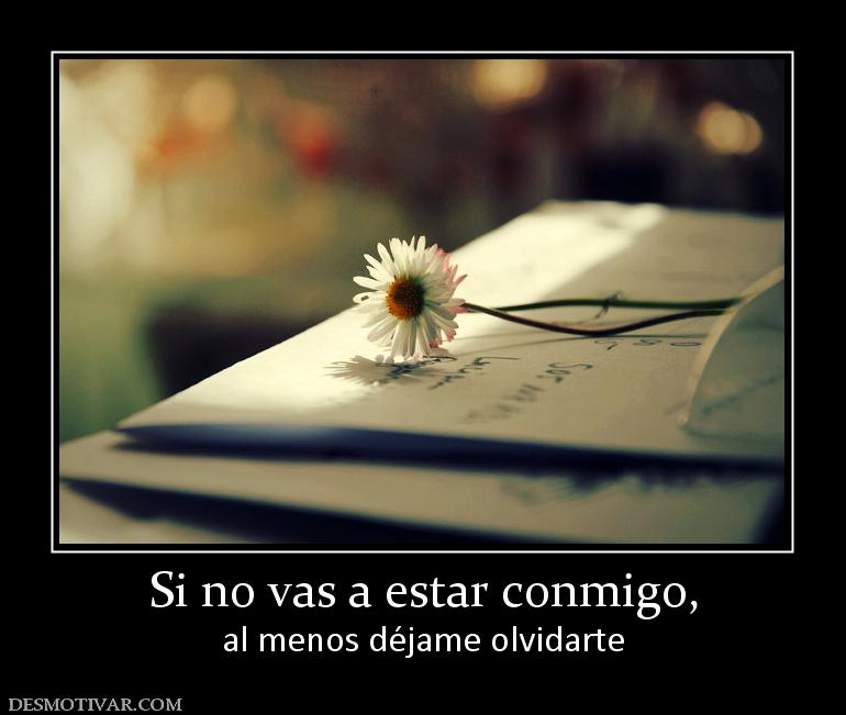 Si no vas a estar conmigo, al menos déjame olvidarte