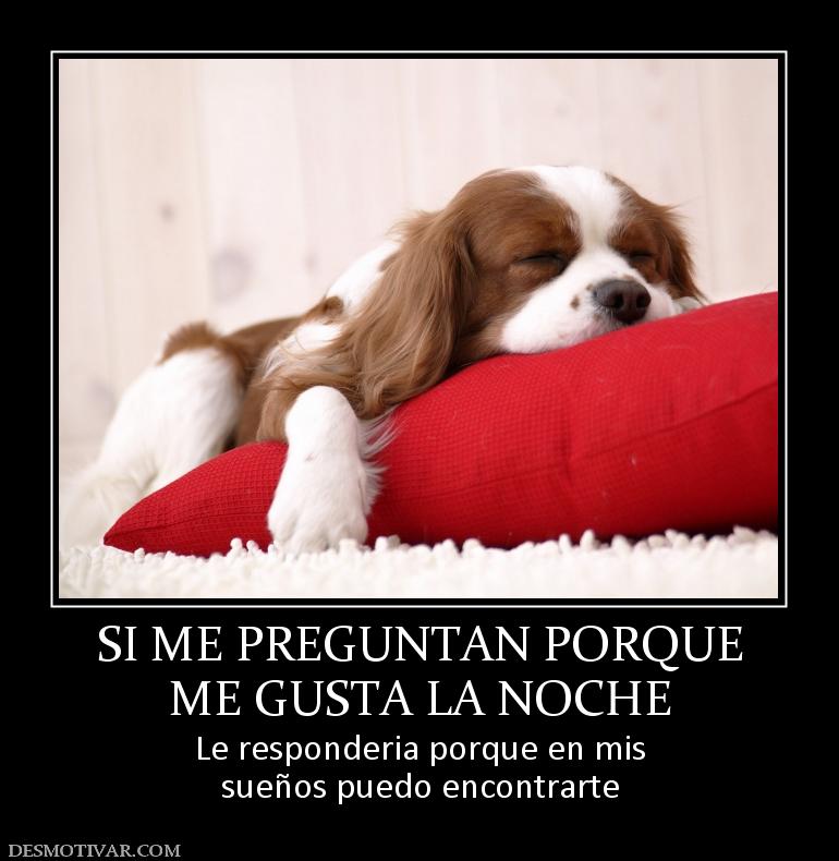 SI ME PREGUNTAN PORQUE ME GUSTA LA NOCHE Le responderia porque en mis sueños puedo encontrarte