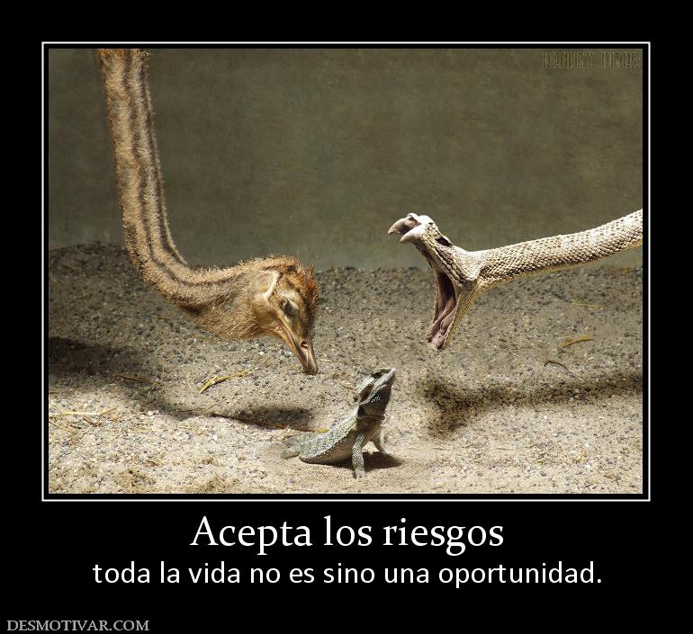 Acepta los riesgos toda la vida no es sino una oportunidad.