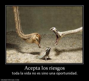 Acepta los riesgos toda la vida no es sino una oportunidad.