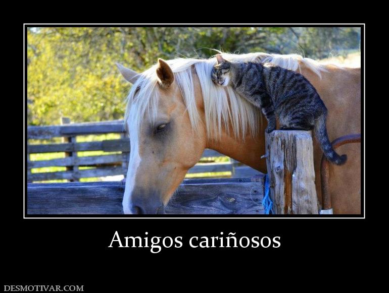 Amigos cariñosos
