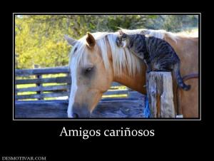 Amigos cariñosos