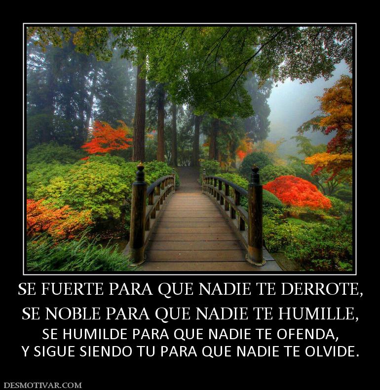 SE FUERTE PARA QUE NADIE TE DERROTE, SE NOBLE PARA QUE NADIE TE HUMILLE, SE HUMILDE PARA QUE NADIE TE OFENDA, Y SIGUE SIENDO TU PARA QUE NADIE TE OLVIDE.