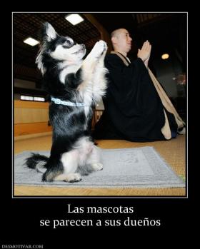 Las mascotas se parecen a sus dueños