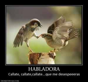 HABLADORA Callate, callate,callate...que me desespeeeras