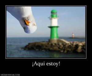 ¡Aqui estoy!