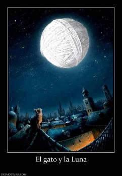 El gato y la Luna