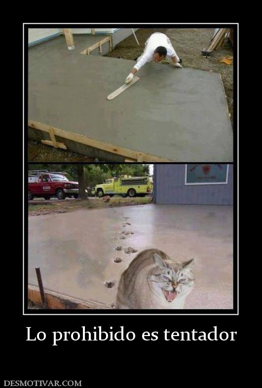 Lo prohibido es tentador
