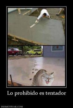 Lo prohibido es tentador