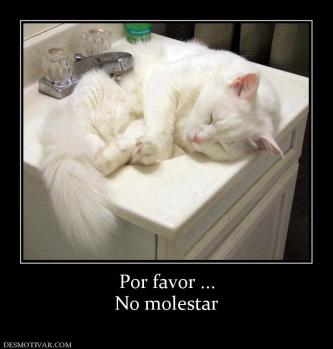 Por favor ... No molestar