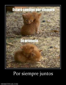 Por siempre juntos