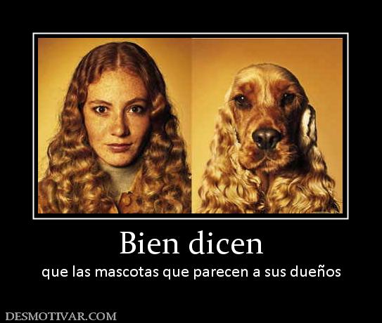 Bien dicen que las mascotas que parecen a sus dueños