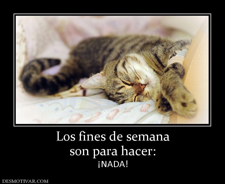 Los fines de semana son para hacer: ¡NADA!