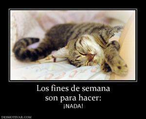 Los fines de semana son para hacer: ¡NADA!