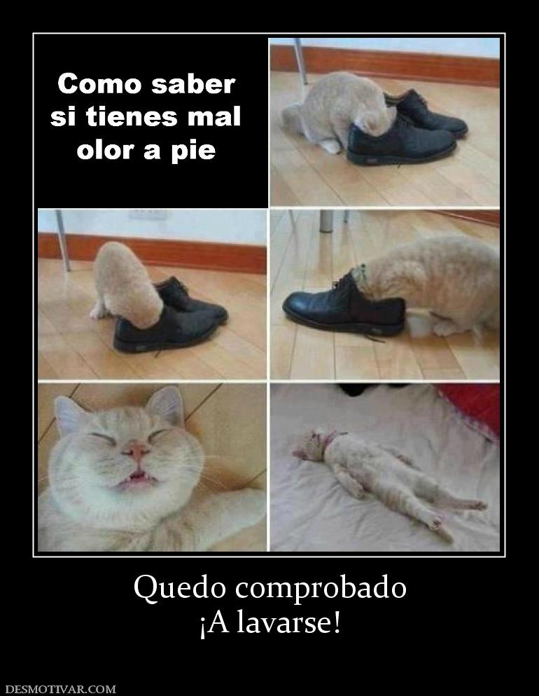 Quedo comprobado ¡A lavarse!