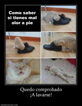 Quedo comprobado ¡A lavarse!