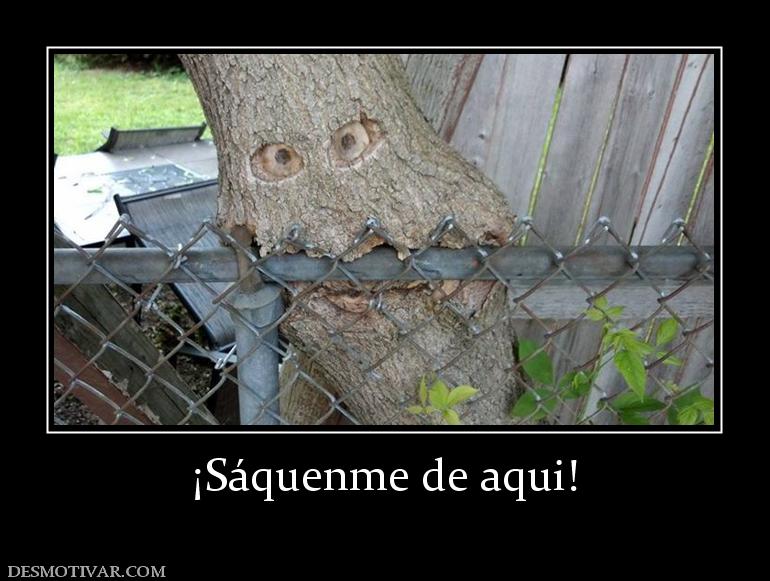 ¡Sáquenme de aqui!