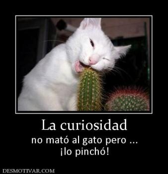 La curiosidad no mató al gato pero ... ¡lo pinchó!