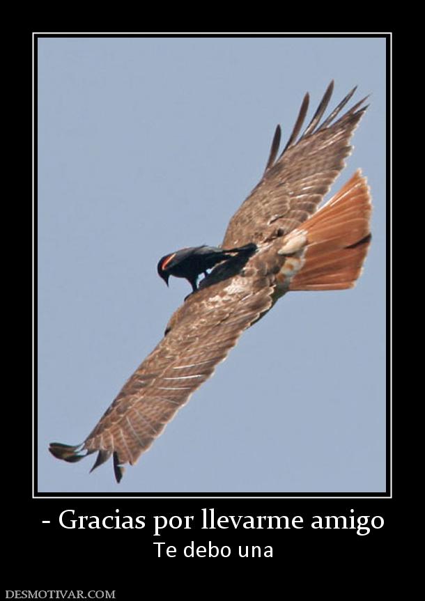 - Gracias por llevarme amigo Te debo una