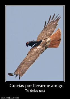 - Gracias por llevarme amigo Te debo una