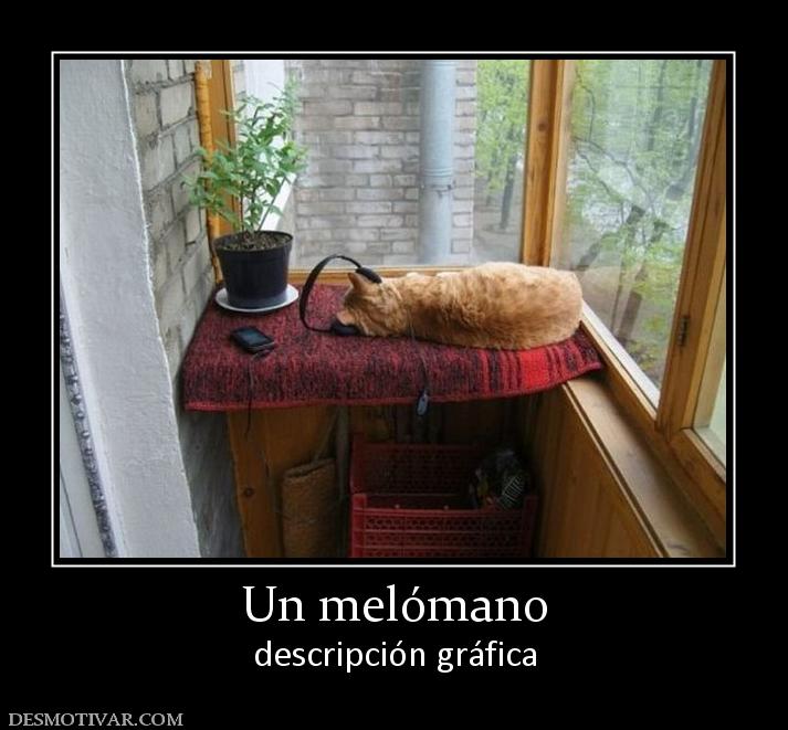 Un melómano descripción gráfica