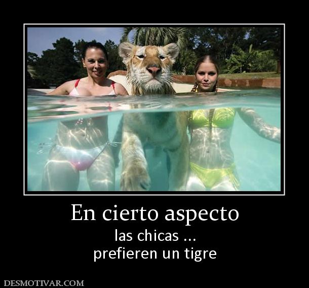 En cierto aspecto las chicas ... prefieren un tigre