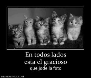 En todos lados esta el gracioso que jode la foto