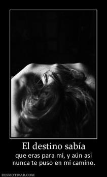 El destino sabía que eras para mí, y aún así nunca te puso en mí camino.