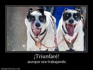 ¡Triunfaré! aunque sea trabajando