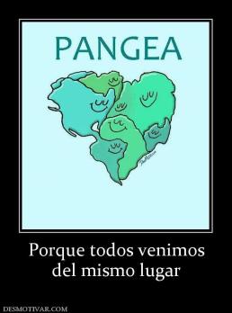 Porque todos venimos del mismo lugar