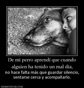 De mi perro aprendí que cuando alguien ha tenido un mal día,  no hace falta más que guardar silencio, sentarse cerca y acompañarlo.