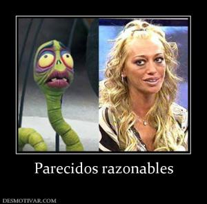 Parecidos razonables