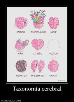 Taxonomía cerebral