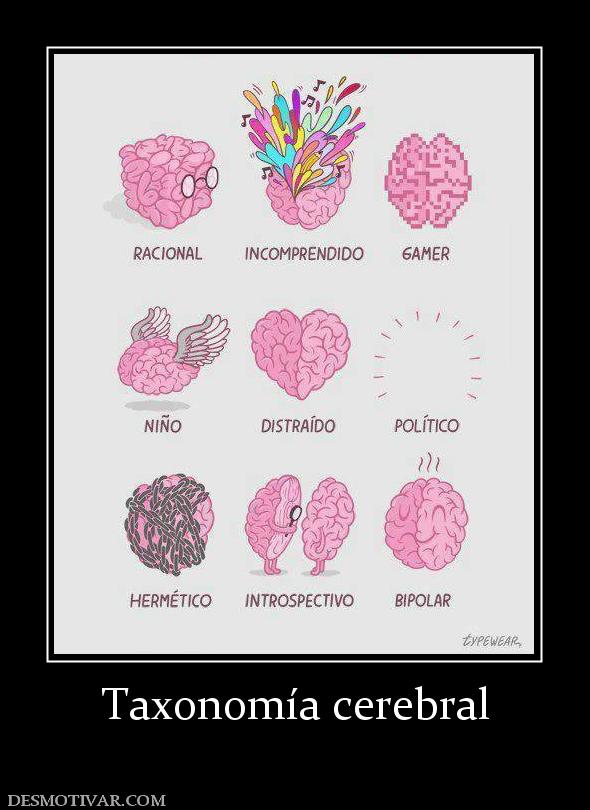 Taxonomía cerebral
