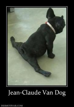 Jean-Claude Van Dog