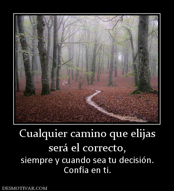 Cualquier camino que elijas será el correcto, siempre y cuando sea tu decisión. Confía en ti.