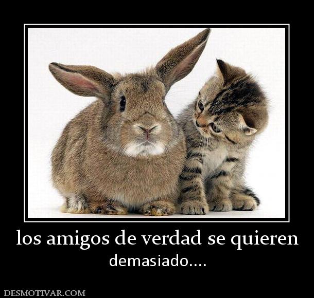 los amigos de verdad se quieren demasiado....