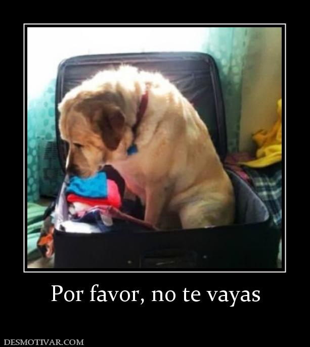 Por favor, no te vayas