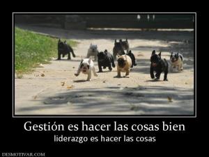 Gestión es hacer las cosas bien liderazgo es hacer las cosas
