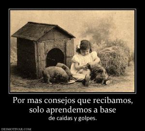 Por mas consejos que recibamos, solo aprendemos a base  de caídas y golpes.