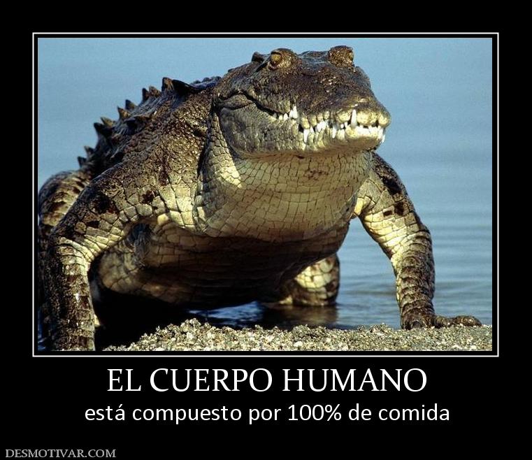 EL CUERPO HUMANO está compuesto por 100% de comida