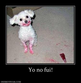 Yo no fui!