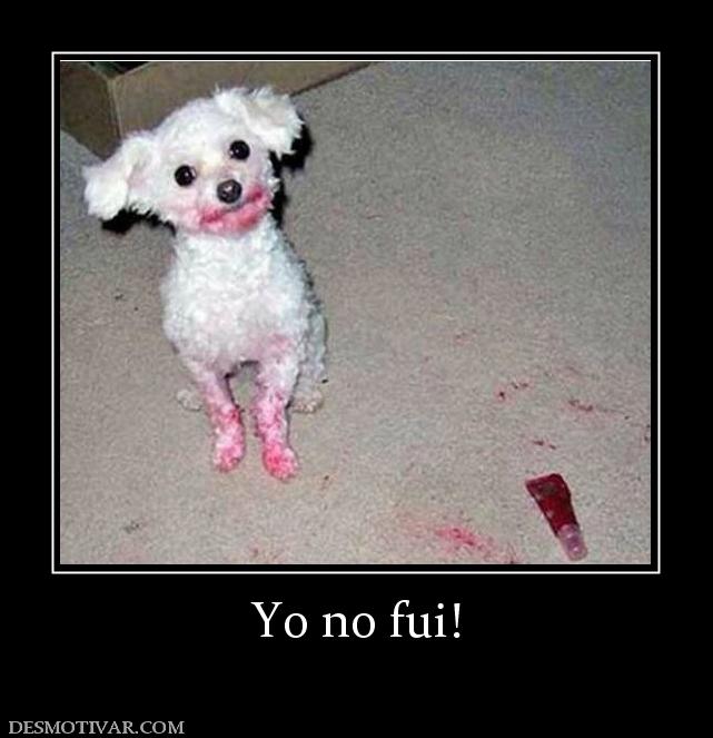 Yo no fui!